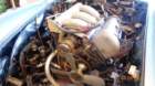 dsc00299_small.jpg